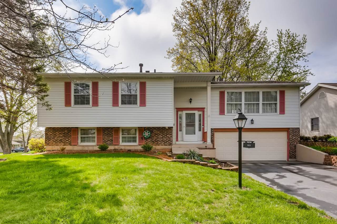 665 Ginger Trail - Photo 1