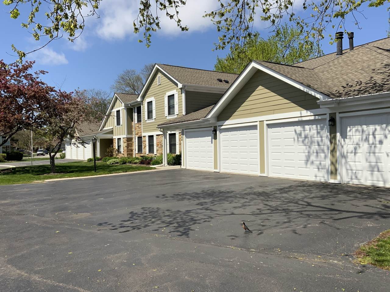 1104 Wildberry Court - Photo 1