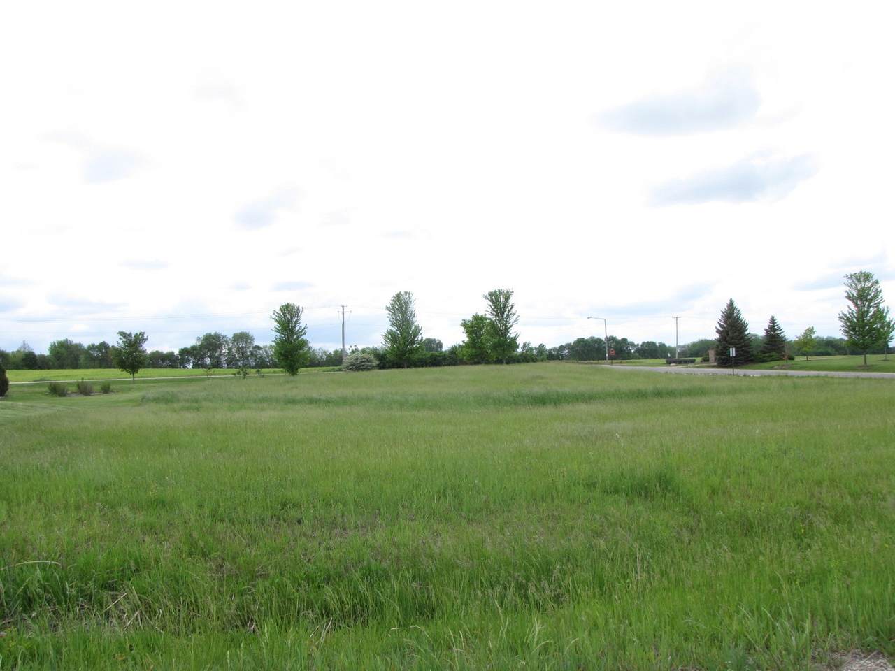 LOT 1 Rose Hill Lane - Photo 1