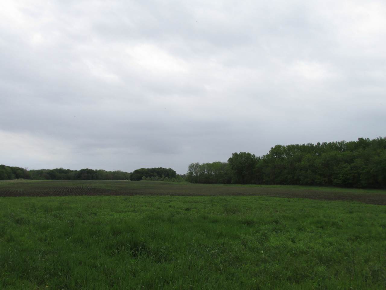 TBD 2060 Avenue - Photo 1