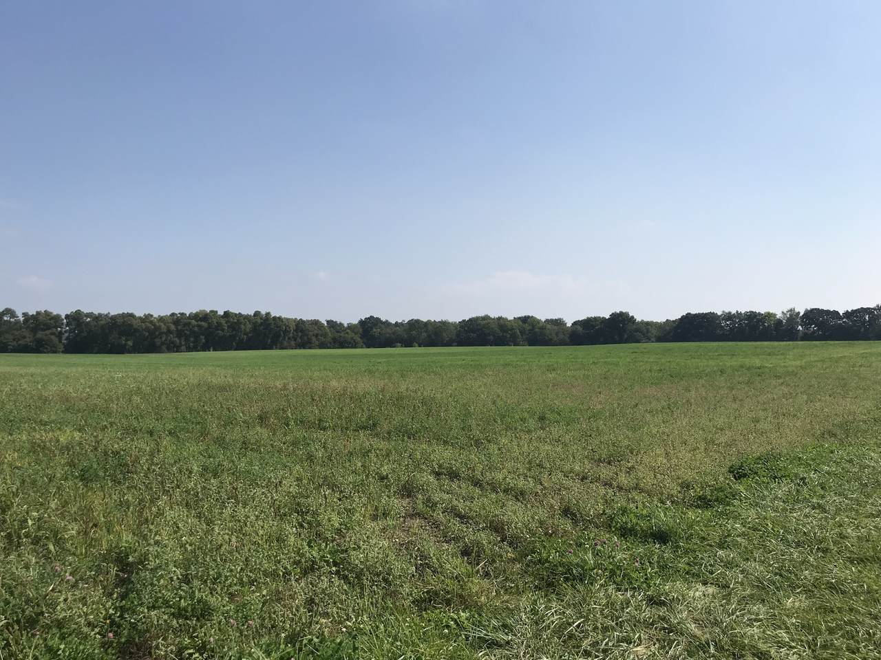 42909 Deep Lake Road - Photo 1
