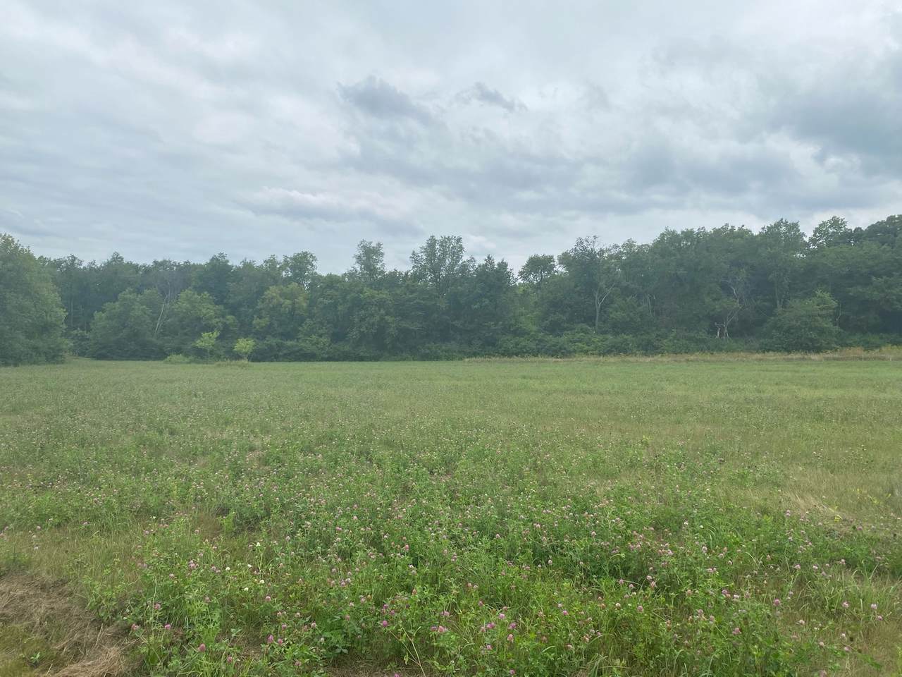 5048 Smokethorn Trail - Photo 1
