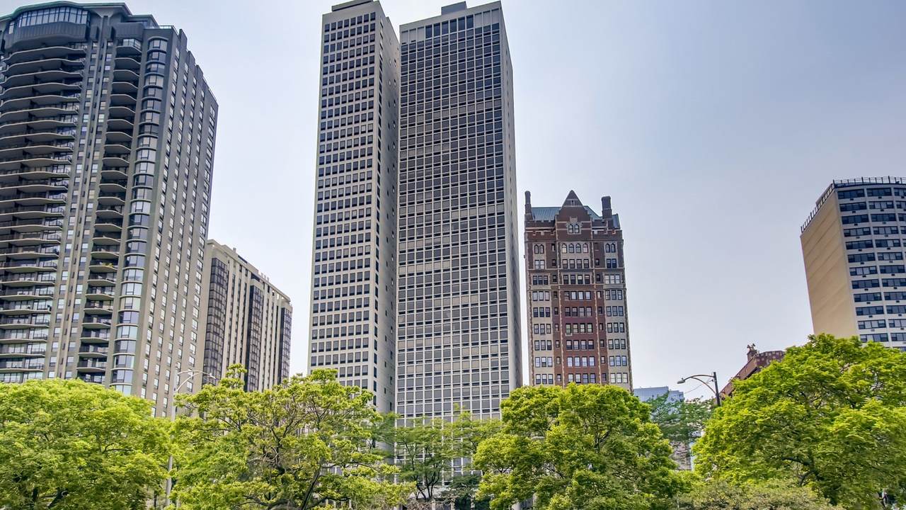 1110 Lake Shore Drive - Photo 1