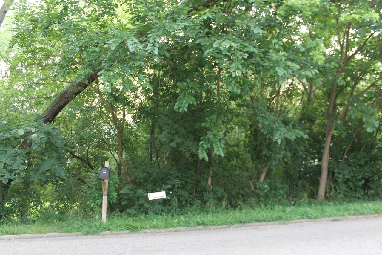 21 Lot - Block 7 On Meadow Lane - Photo 1
