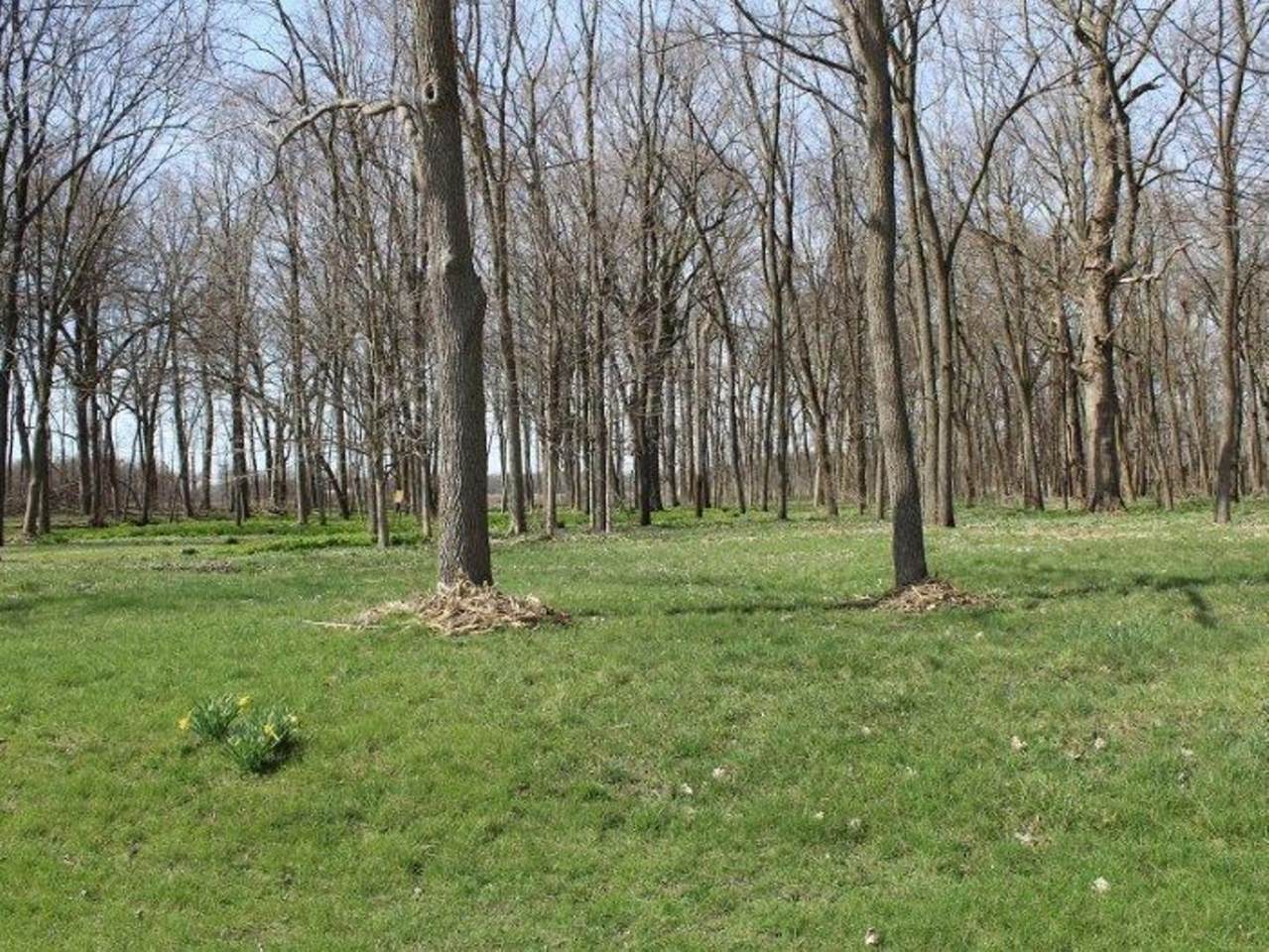 TBD Lyndon Road - Photo 1