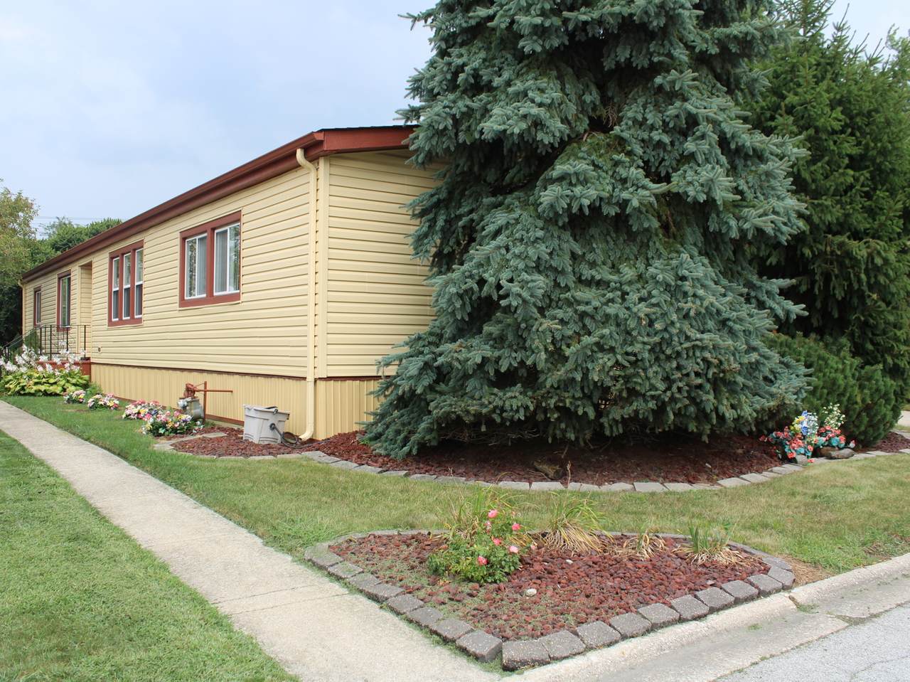 228 Blackthorn Road - Photo 1