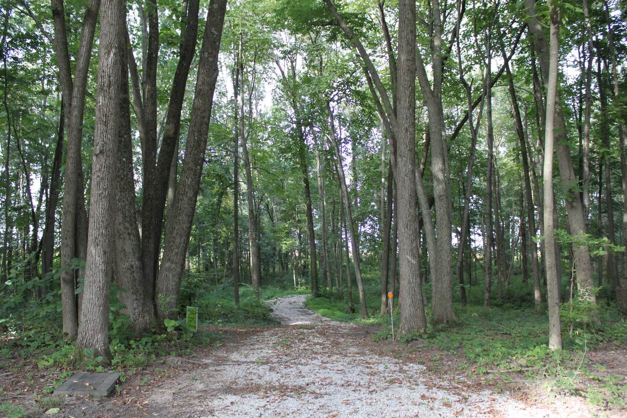 21 County Road 500 East - Photo 1