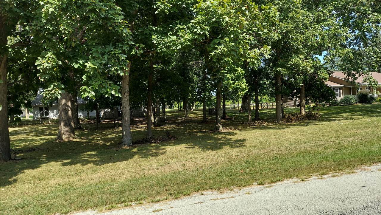 114 Chickasaw Lane - Photo 1
