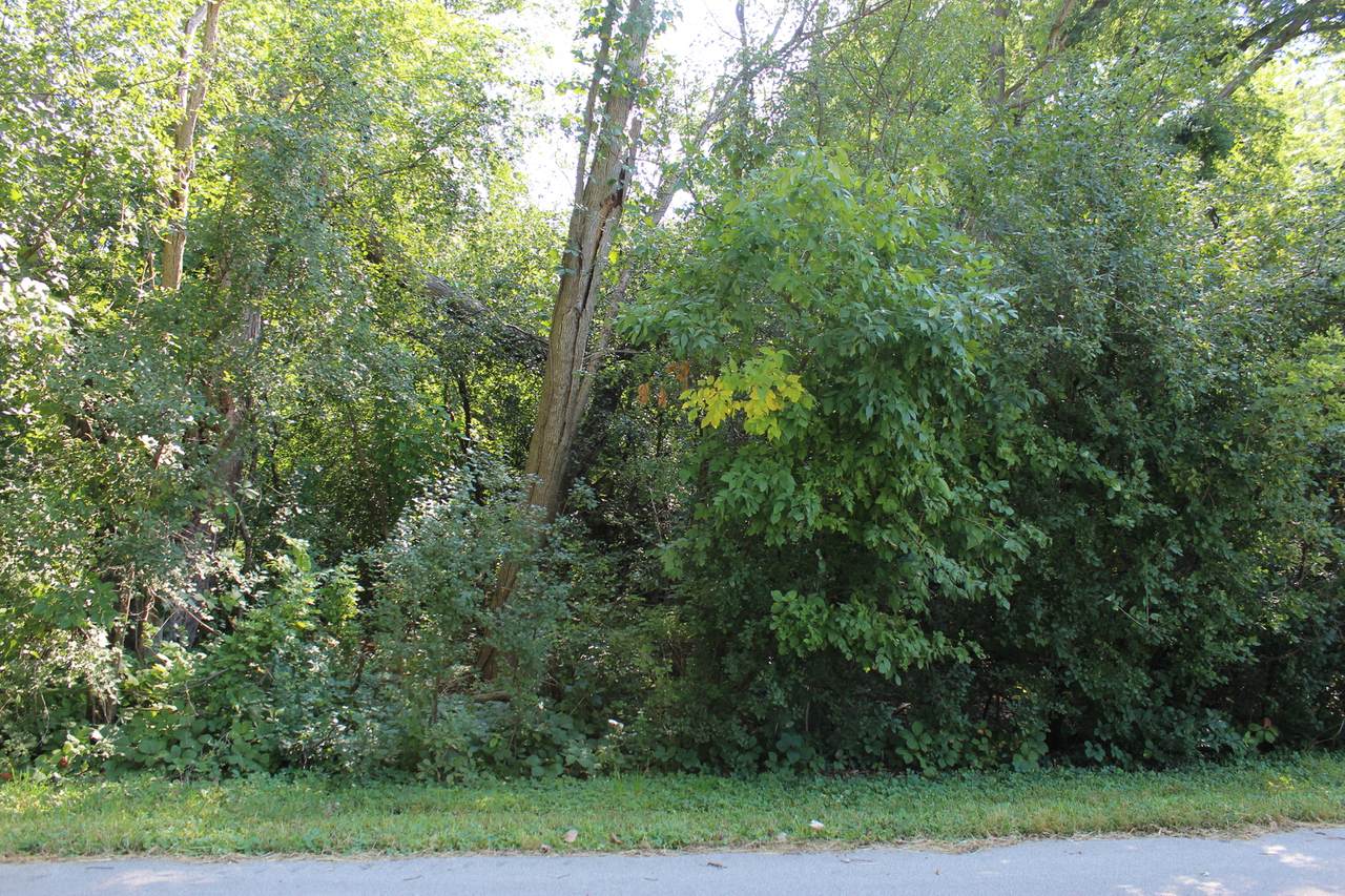 Vacant Charlotte Avenue - Photo 1