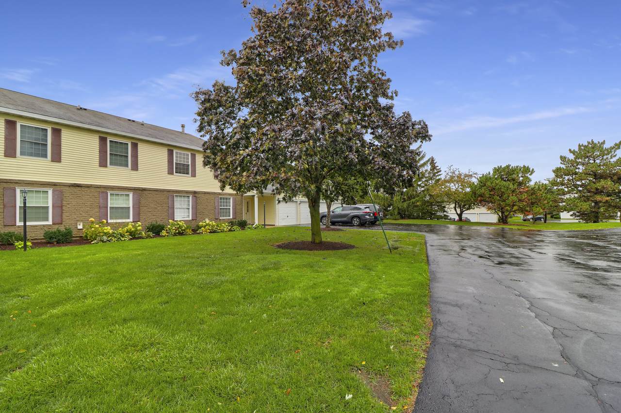 673 Thorntree Court - Photo 1