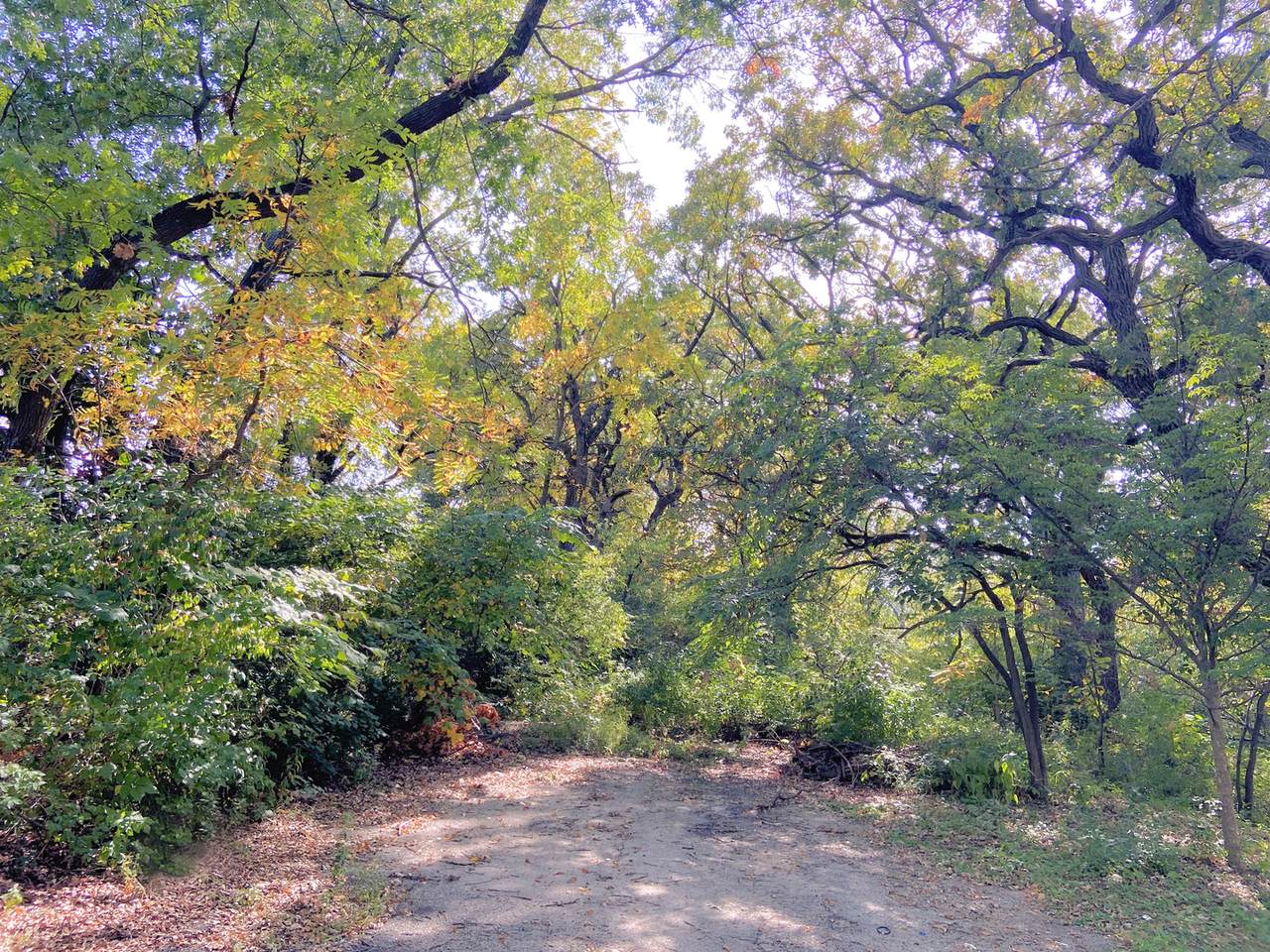 Vacant Hilltop Road - Photo 1