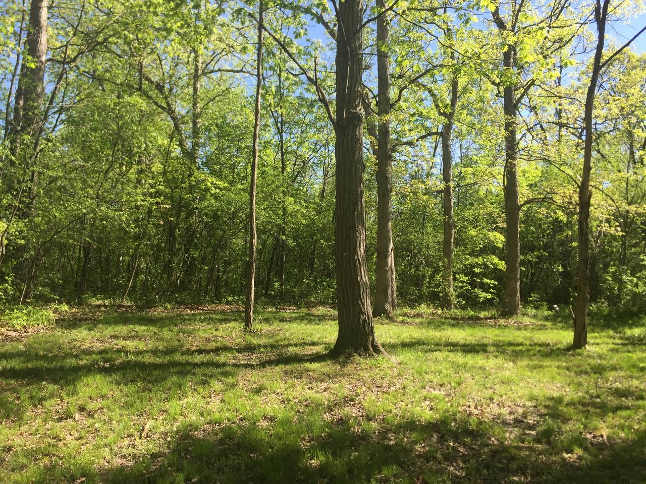 885 Hiawatha Lane - Photo 1
