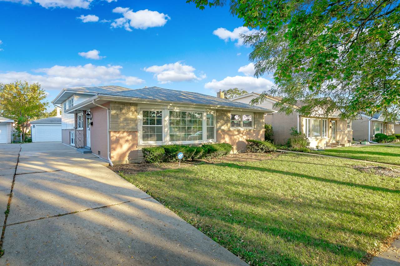 8855 Elmore Street - Photo 1