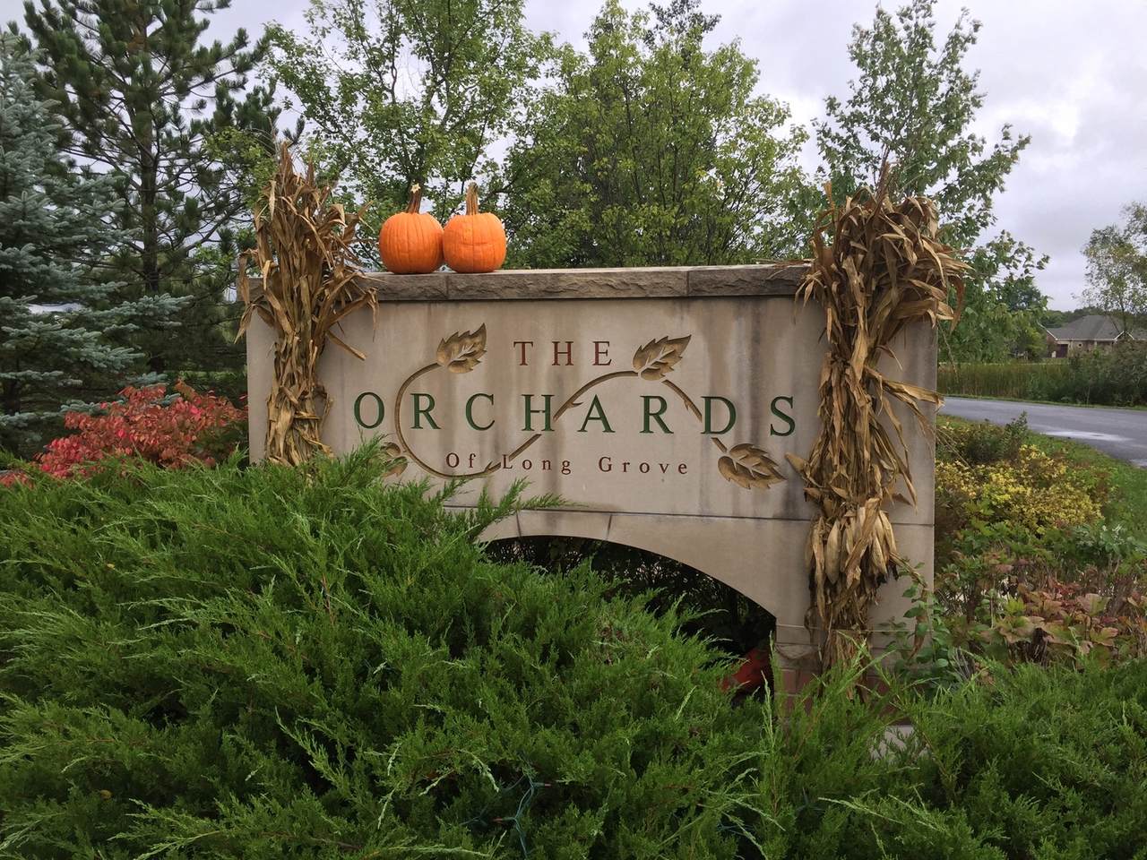 3993 Orchard Lane - Photo 1