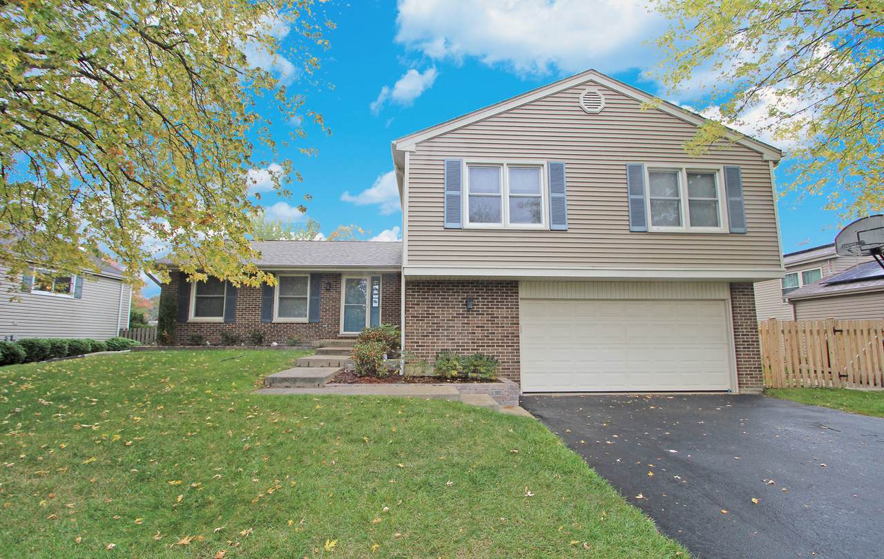 695 Beechwood Drive - Photo 1