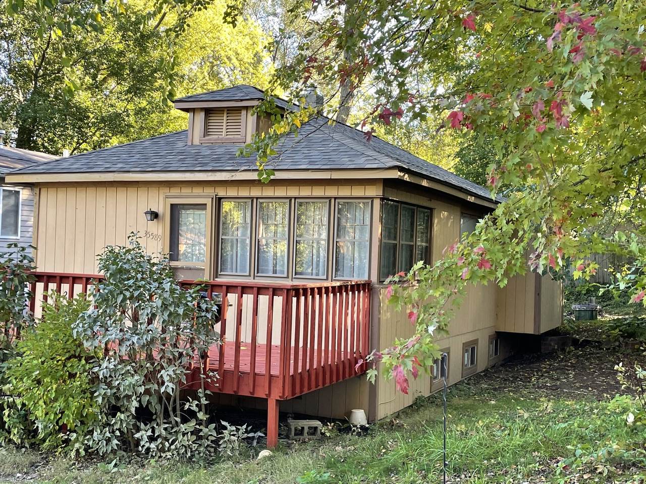 35589 Poplar Avenue - Photo 1