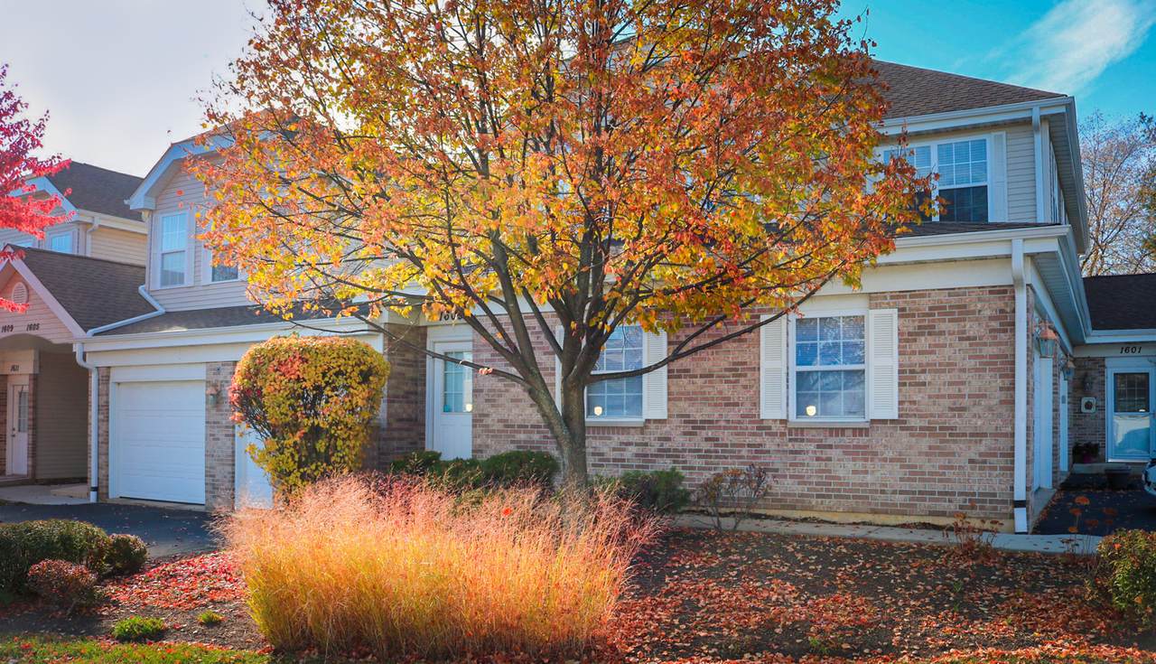 1603 White Oak Trail - Photo 1
