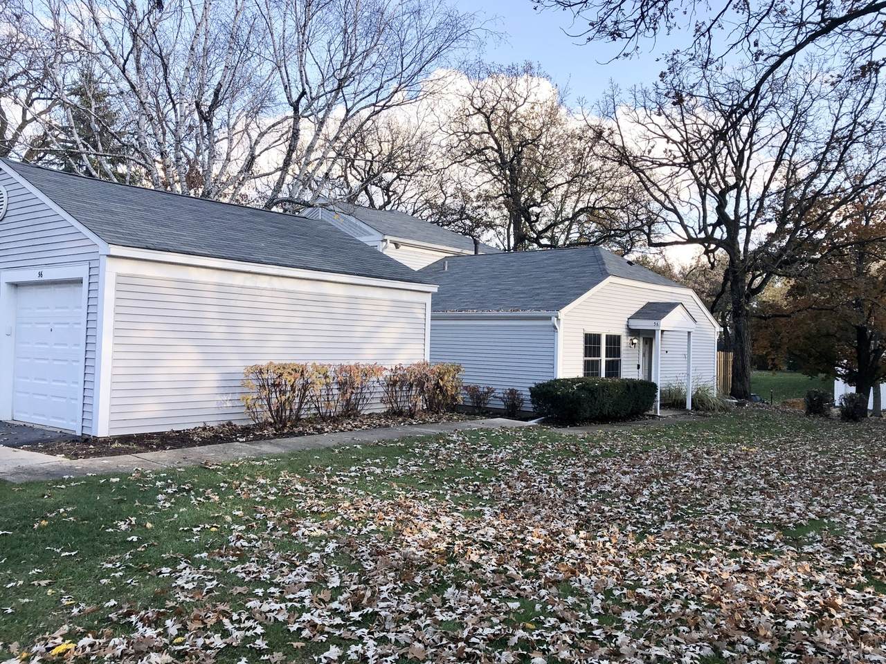 56 Hickory Lane - Photo 1