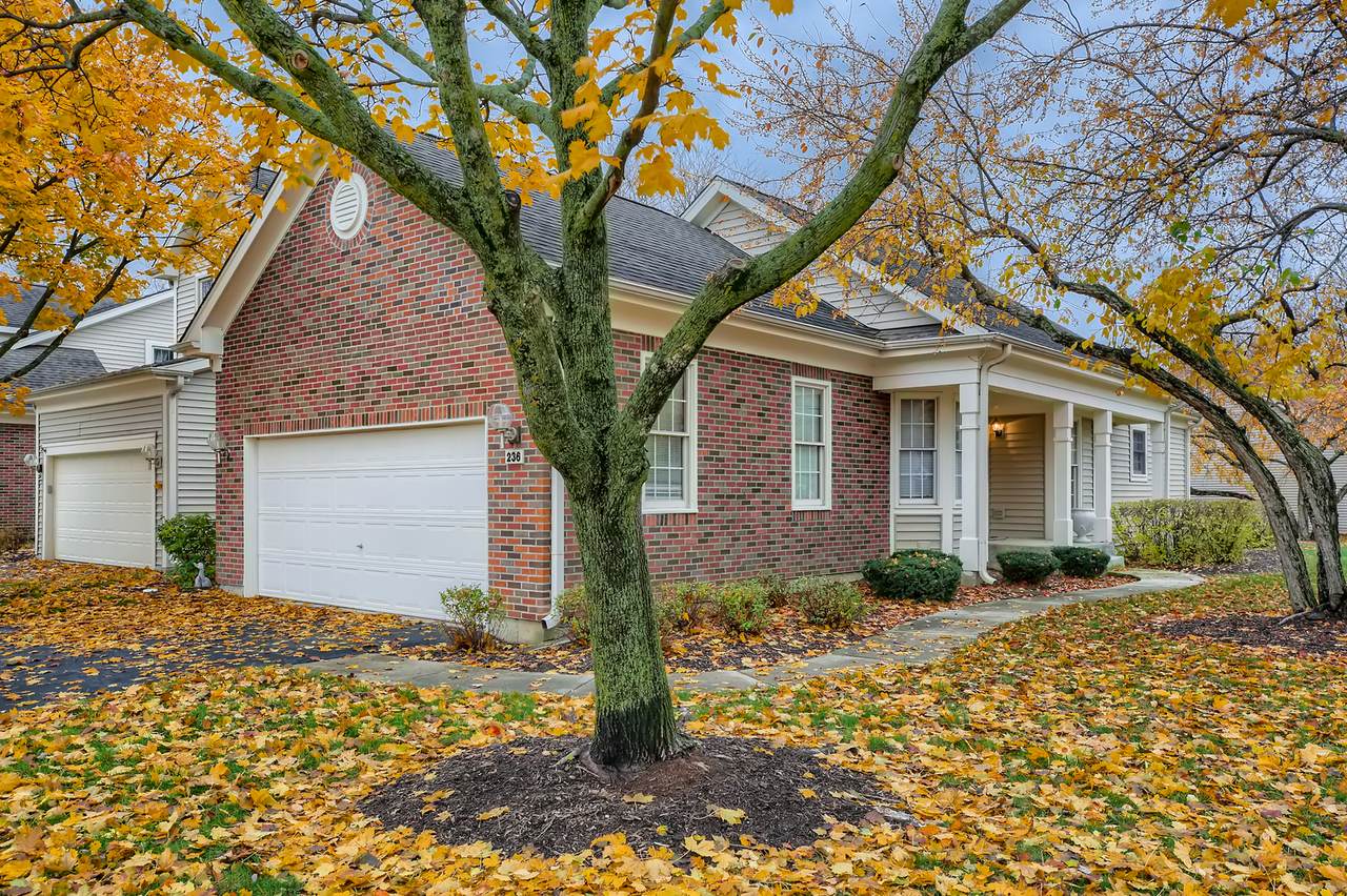 236 Parktrail Court - Photo 1