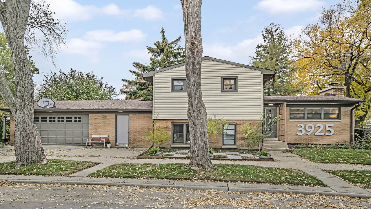 3925 Cleveland Street - Photo 1
