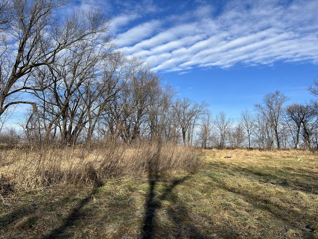 4.97 acres Prairie Street - Photo 1