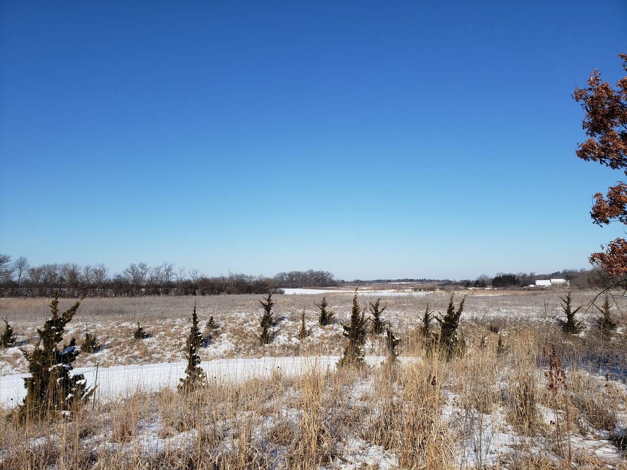 28944 Gilmer Road - Photo 1