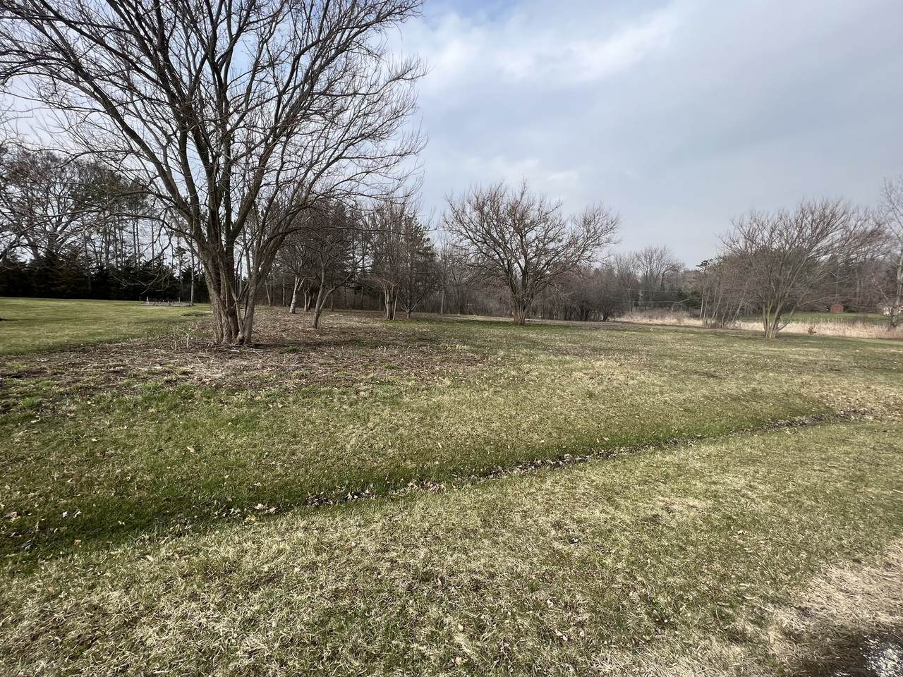 Lot 3 Brierwood Drive - Photo 1