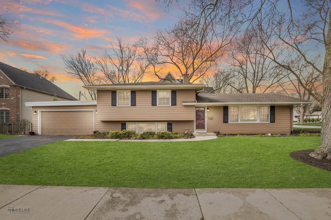 905 Rose Lane - Photo 1