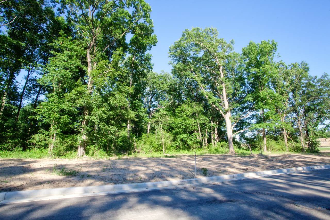 16675 Willard Lane - Photo 1