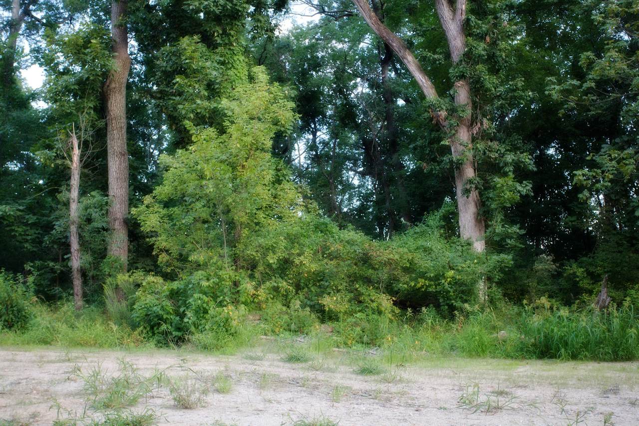 4380 166th Lane - Photo 1