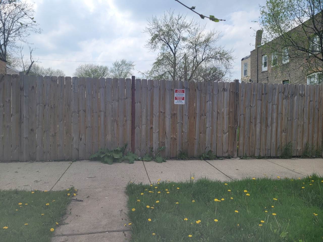 1110 Springfield Avenue - Photo 1
