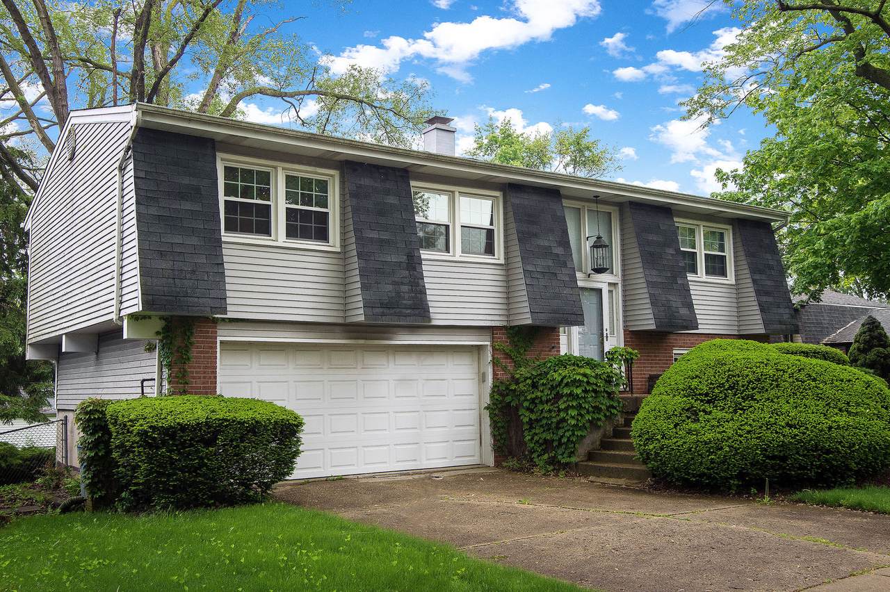 119 Chestnut Lane - Photo 1