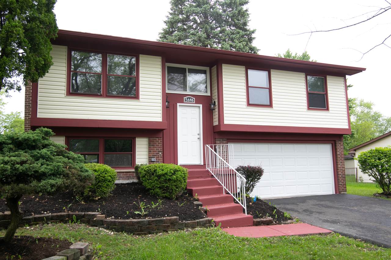 5646 Allemong Drive - Photo 1
