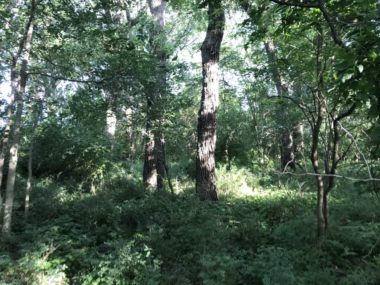 9700 Kodat Road - Photo 1