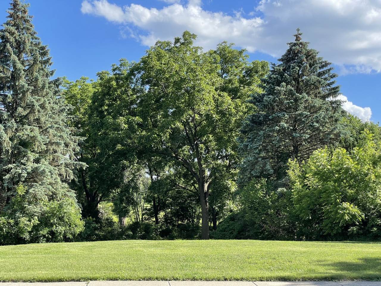 1243 59th Street - Photo 1
