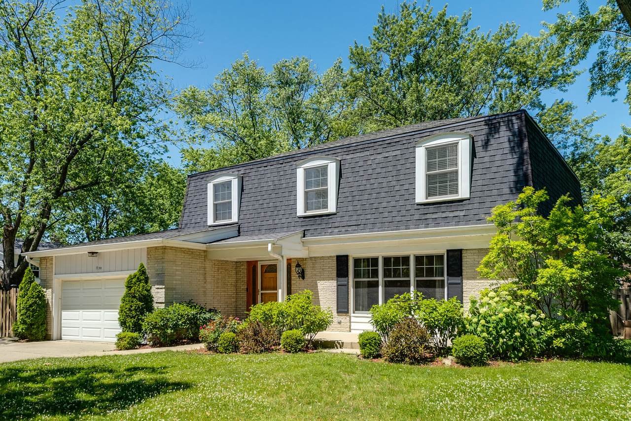 1150 White Mountain Drive - Photo 1