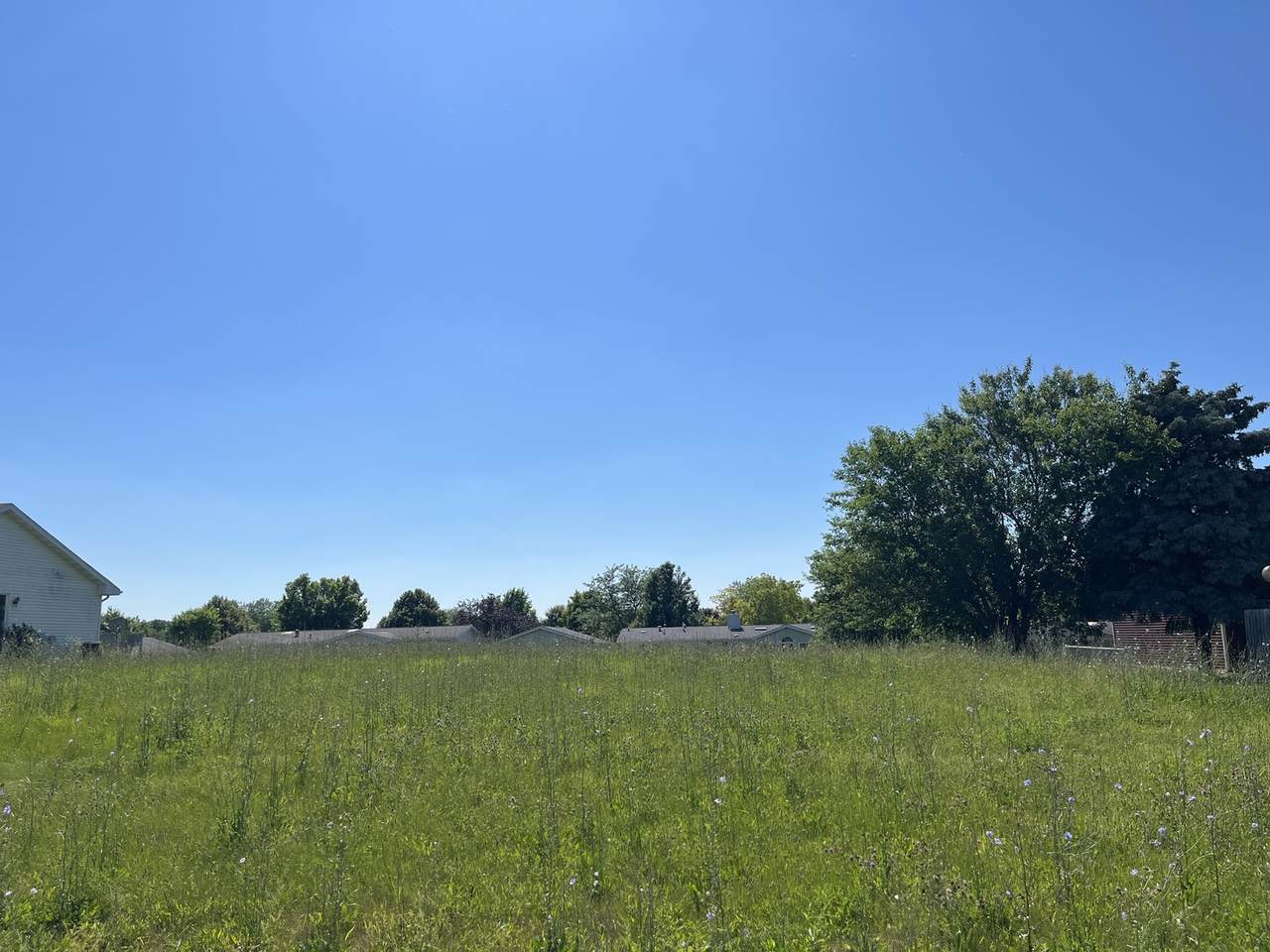 460 Johnson Street - Photo 1