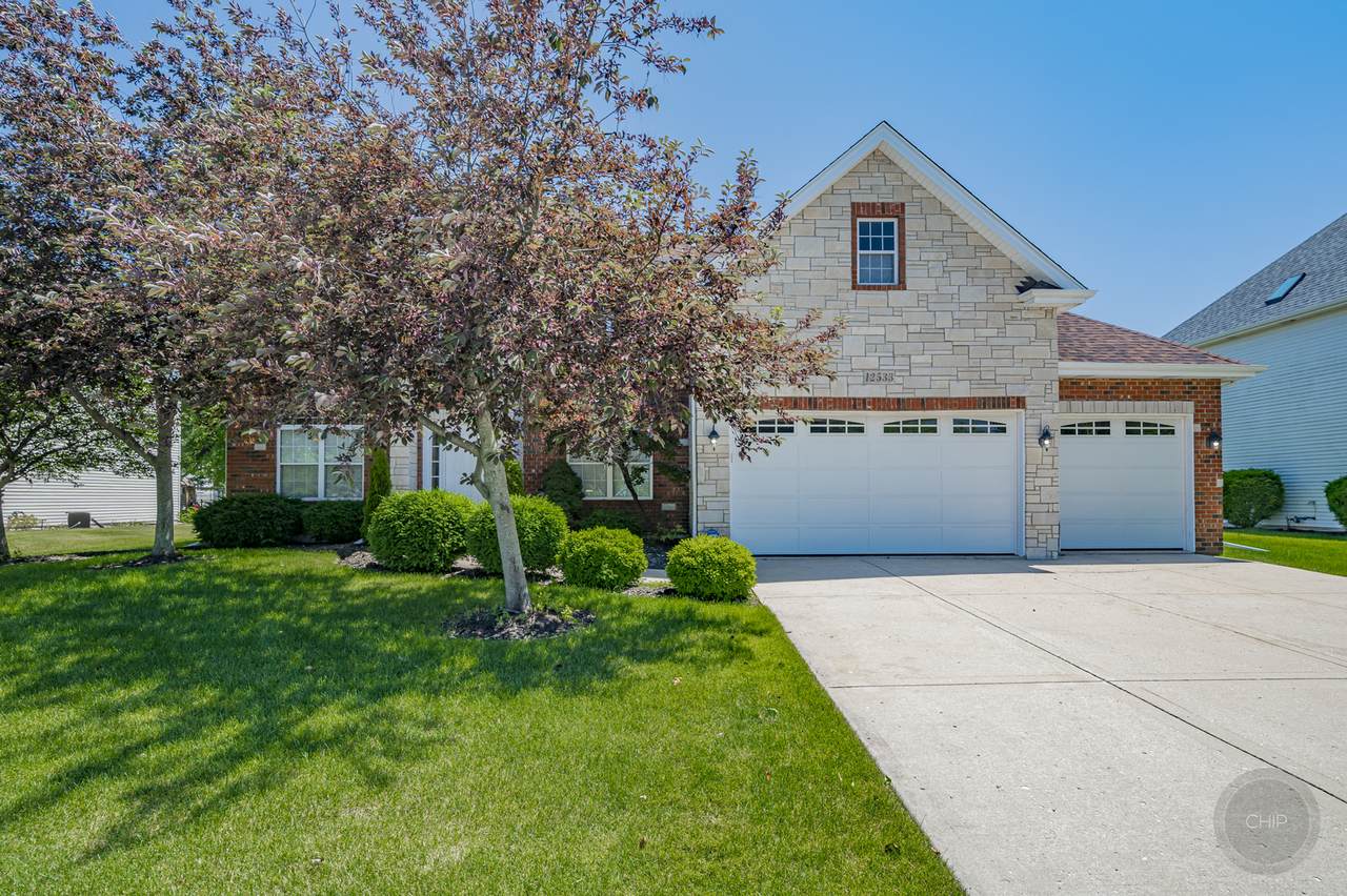 12533 Wingstem Street - Photo 1