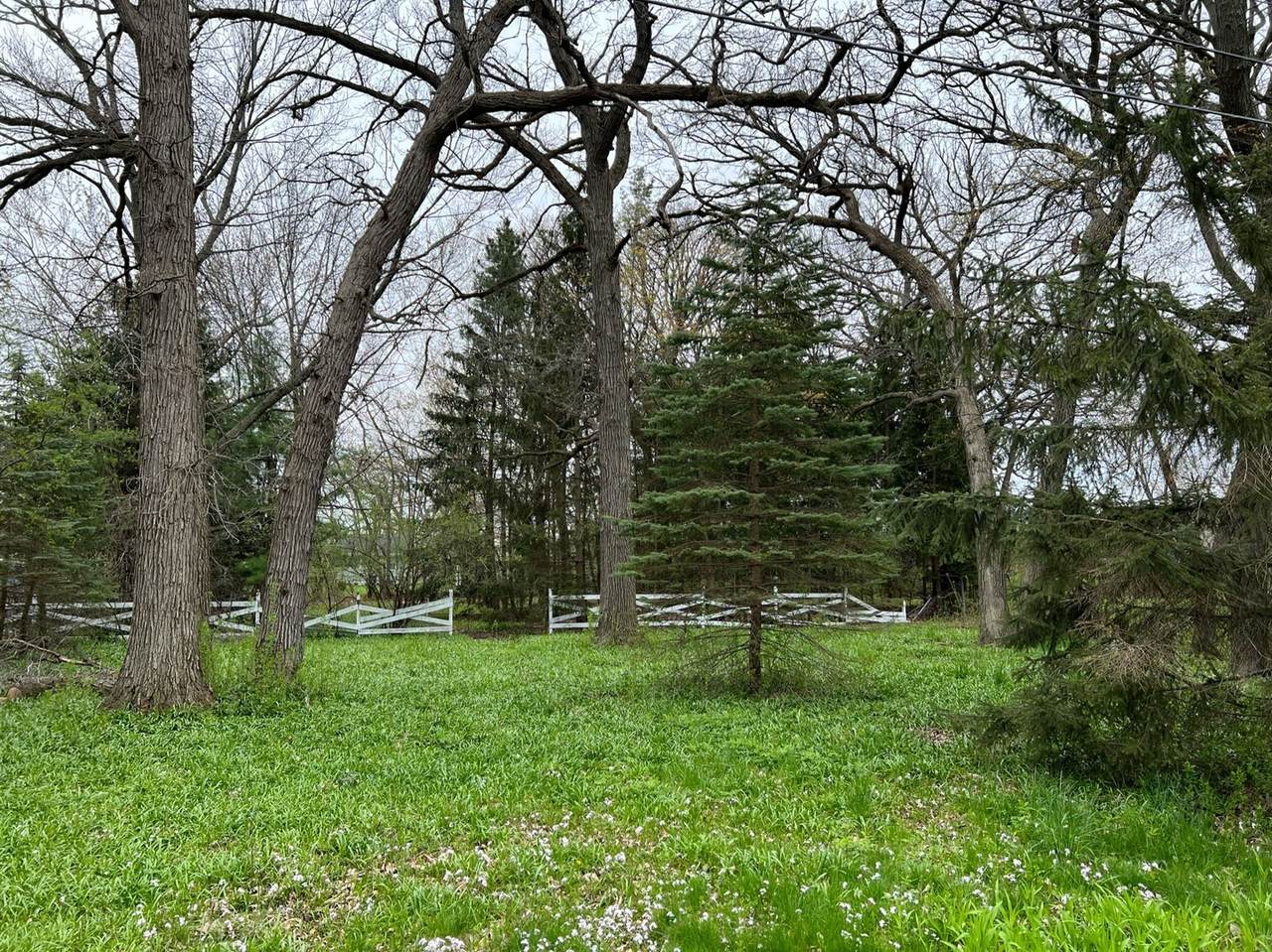 9513 Forest Place - Photo 1