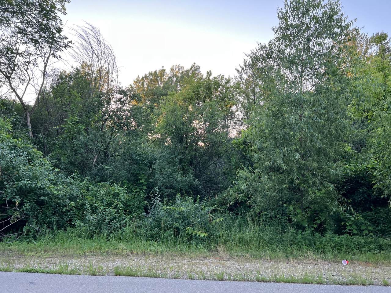 100 Hawthorne Road - Photo 1