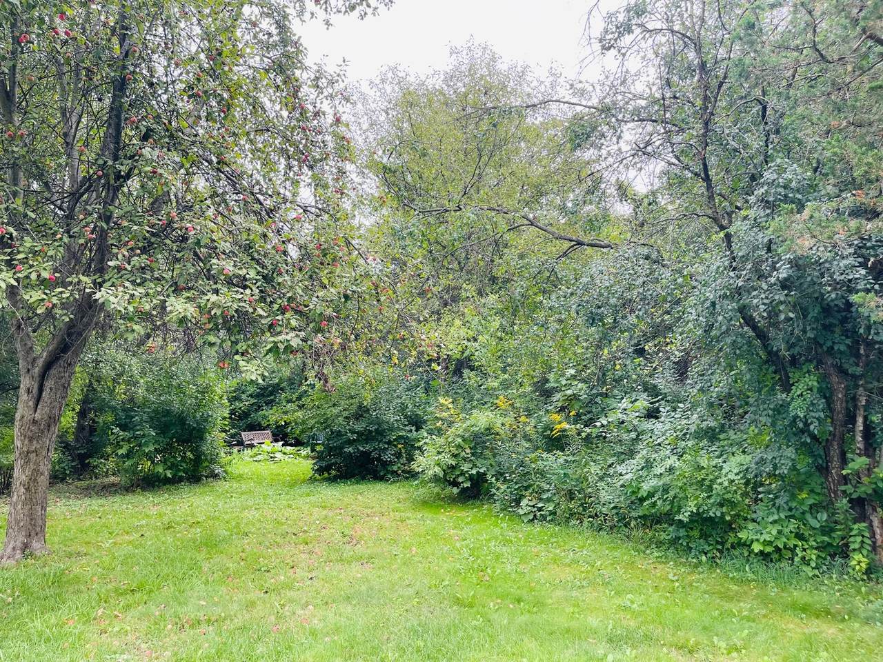 37224 Green Avenue - Photo 1