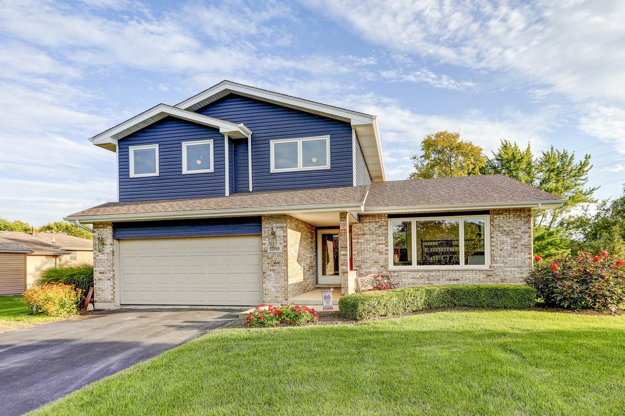 12159 Black Pine Trail - Photo 1