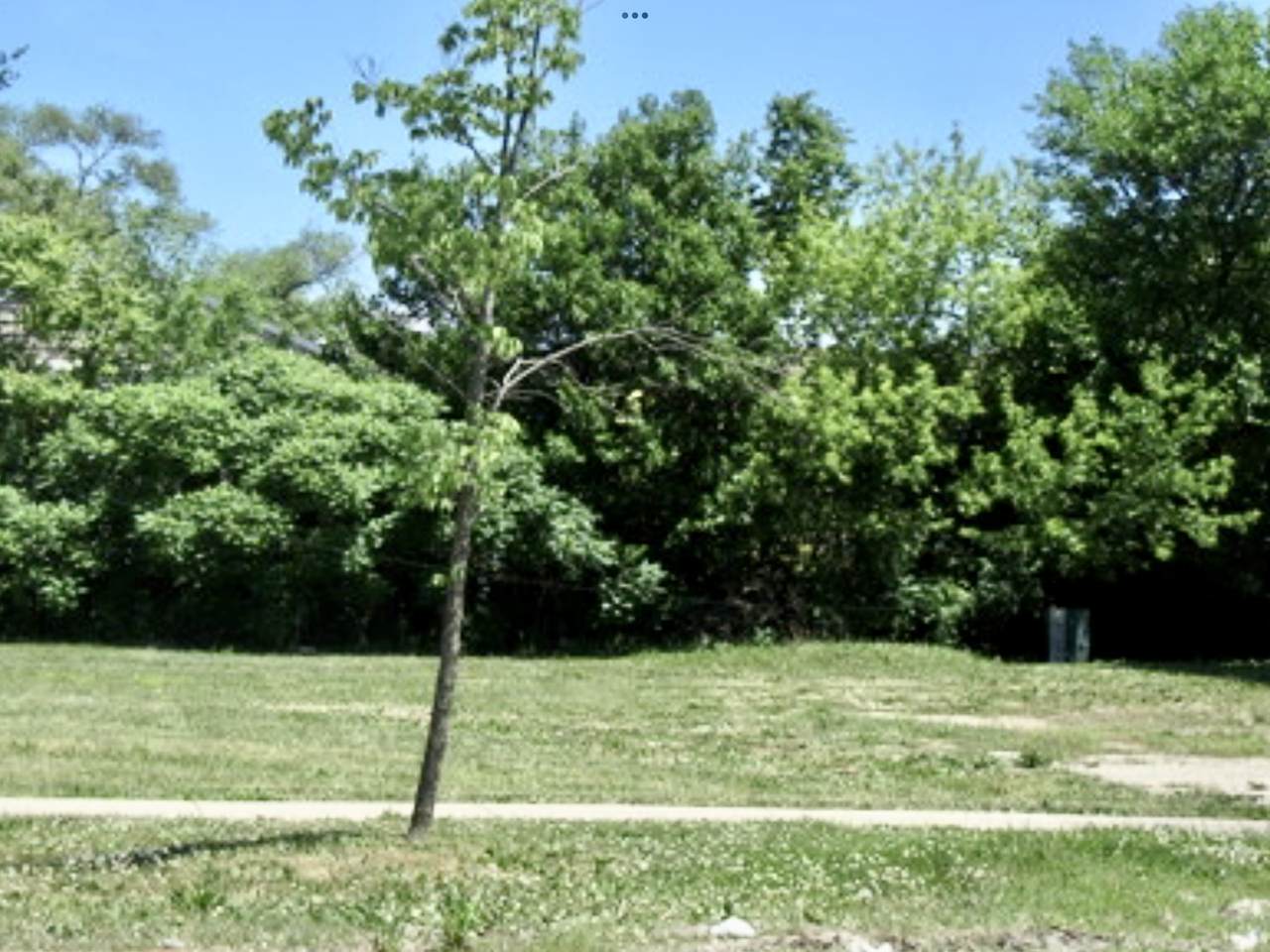 1751 Greenwood Road - Photo 1