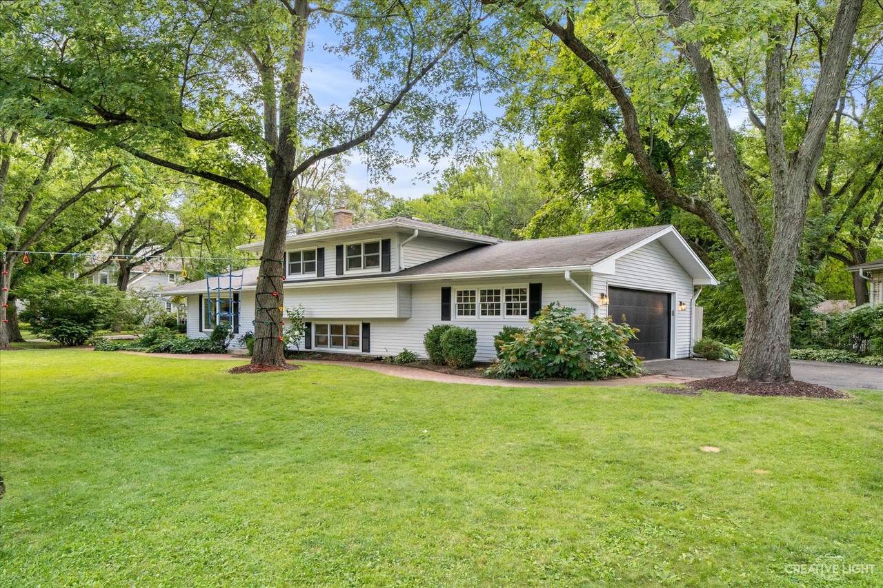 703 Willow Road - Photo 1