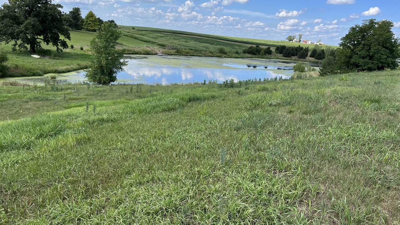 644 County Rd 1800 E - Photo 1
