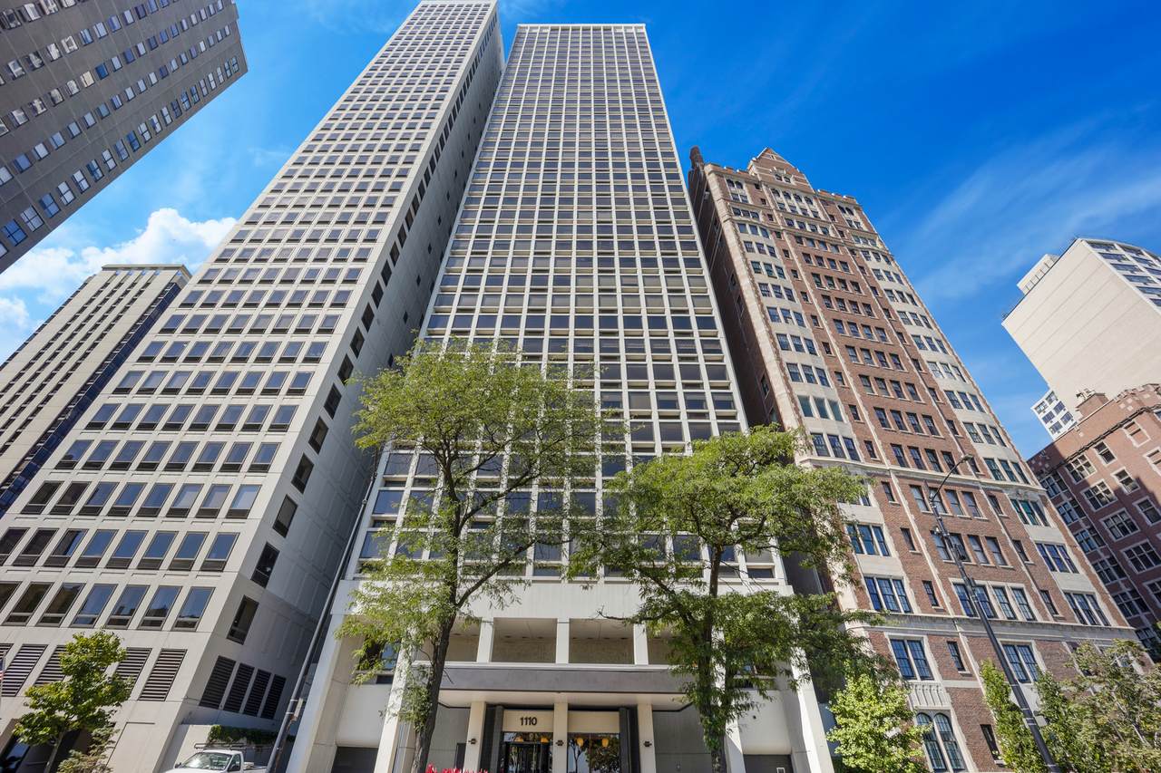 1110 Lake Shore Drive - Photo 1