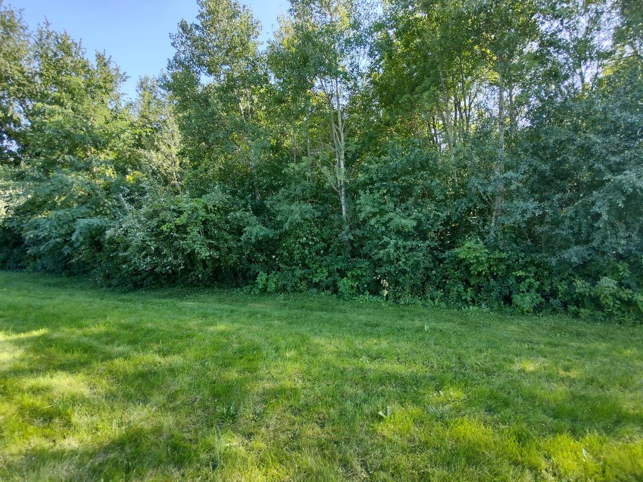 6711 Perkins Parkway - Photo 1