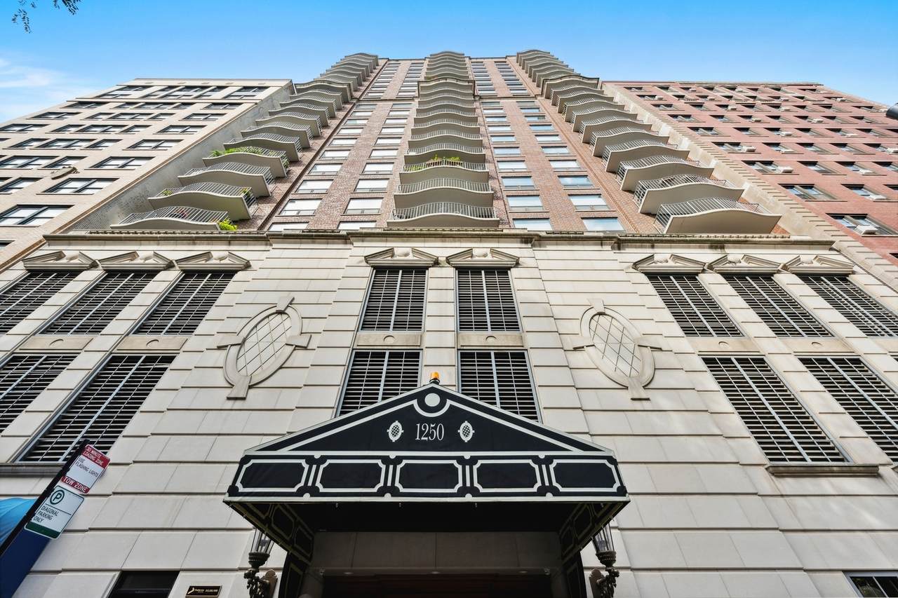 1250 Dearborn Street - Photo 1