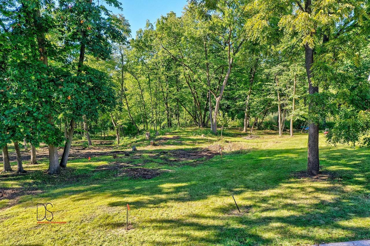 420 Deer Timber Lane - Photo 1