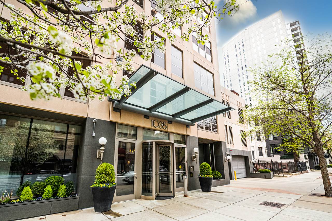 1035 Dearborn Street - Photo 1